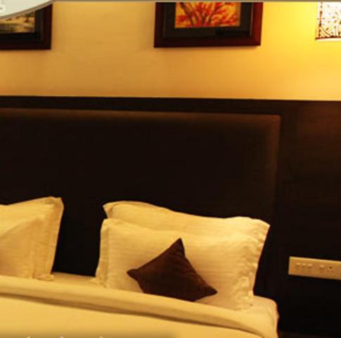 Hotel Avana Dźajpur Pokój zdjęcie